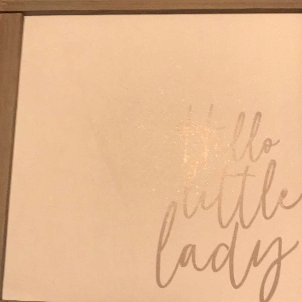 Hello little lady canvas picture from Hobby Lobby
